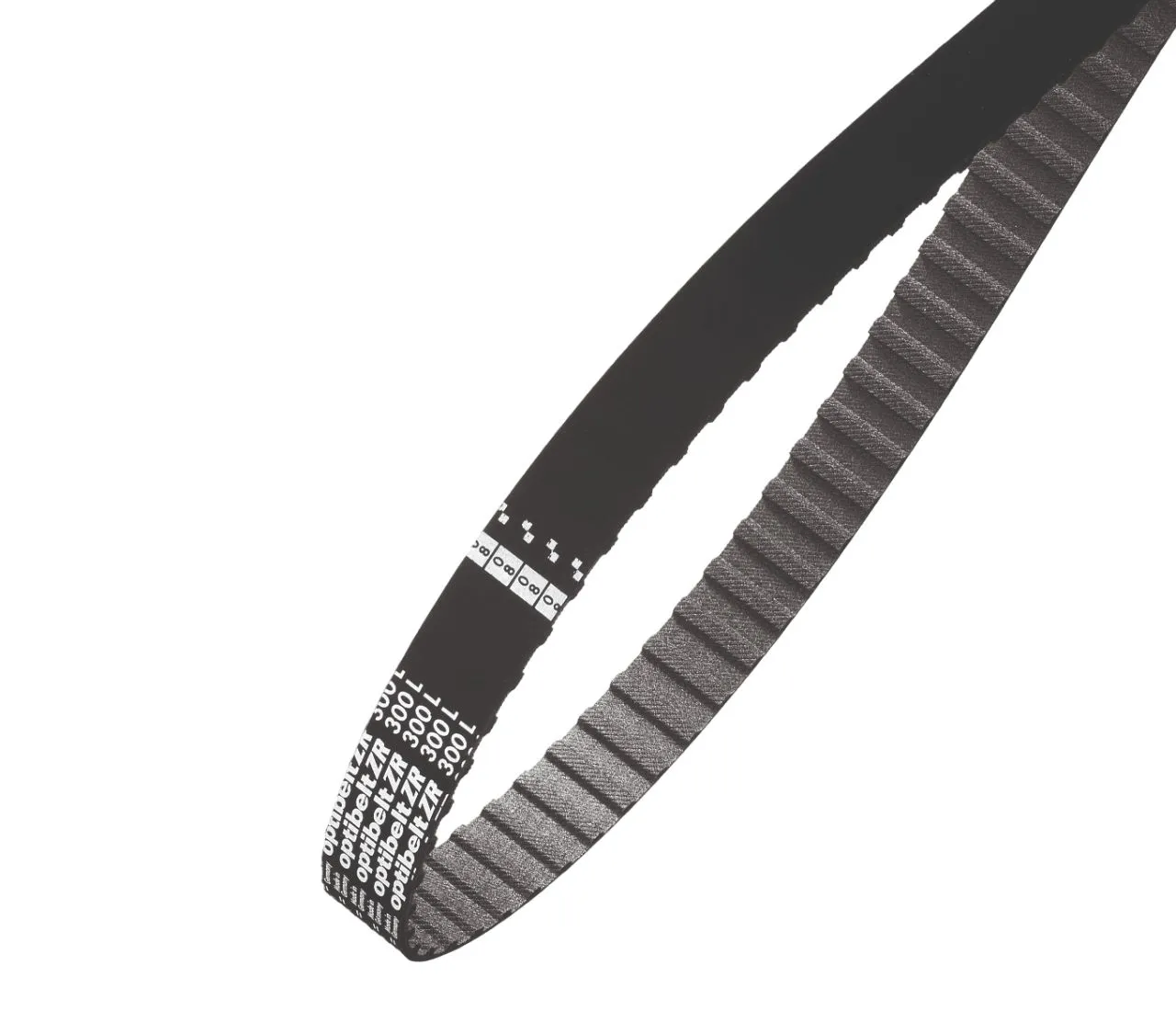 Cinghia sincrona OPTIBELT, 130 denti, passo 12.7mm, dimensioni 65poll x 2poll